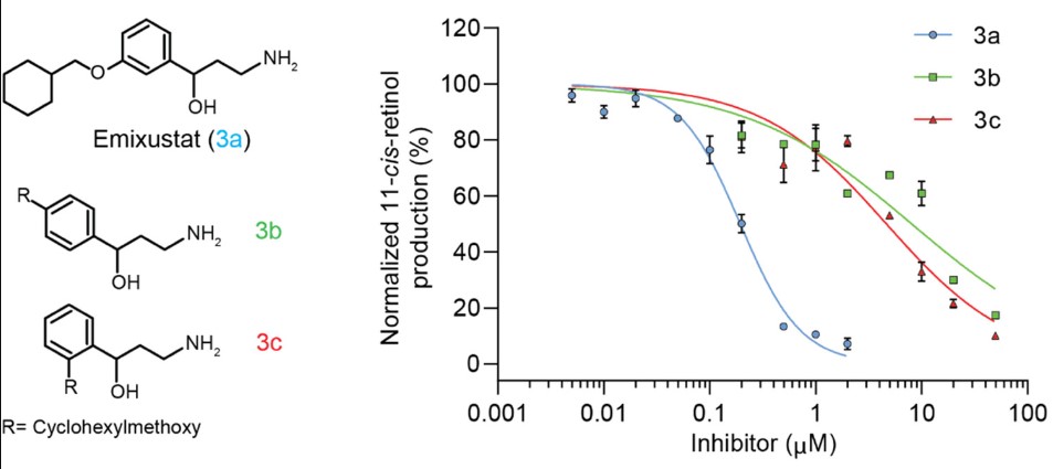 Chemical structures and corresponding dose–response curves of γ-amino-α-aryl alcohols.jpg